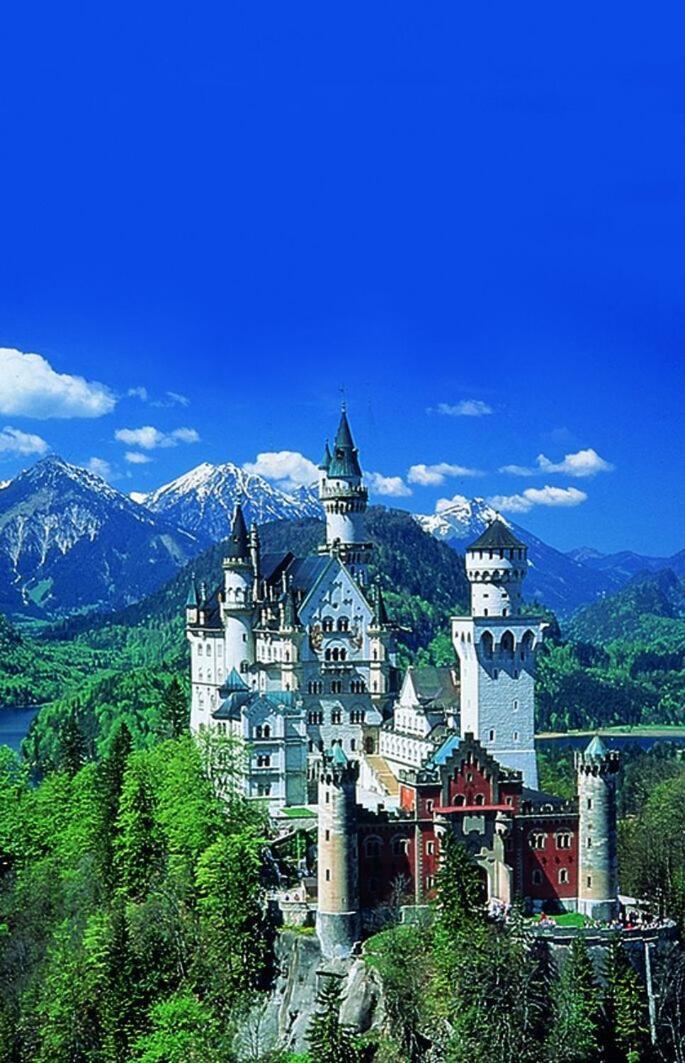 Haflingerhof